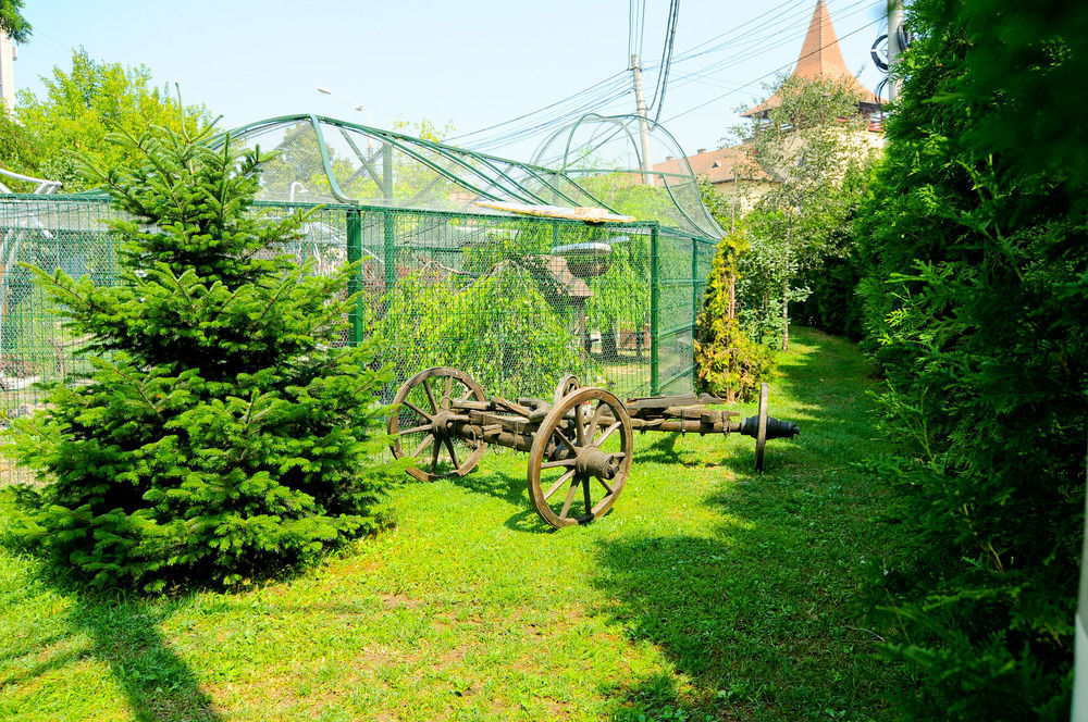 Pension La Cupola Târgu-Mureş Exteriér fotografie