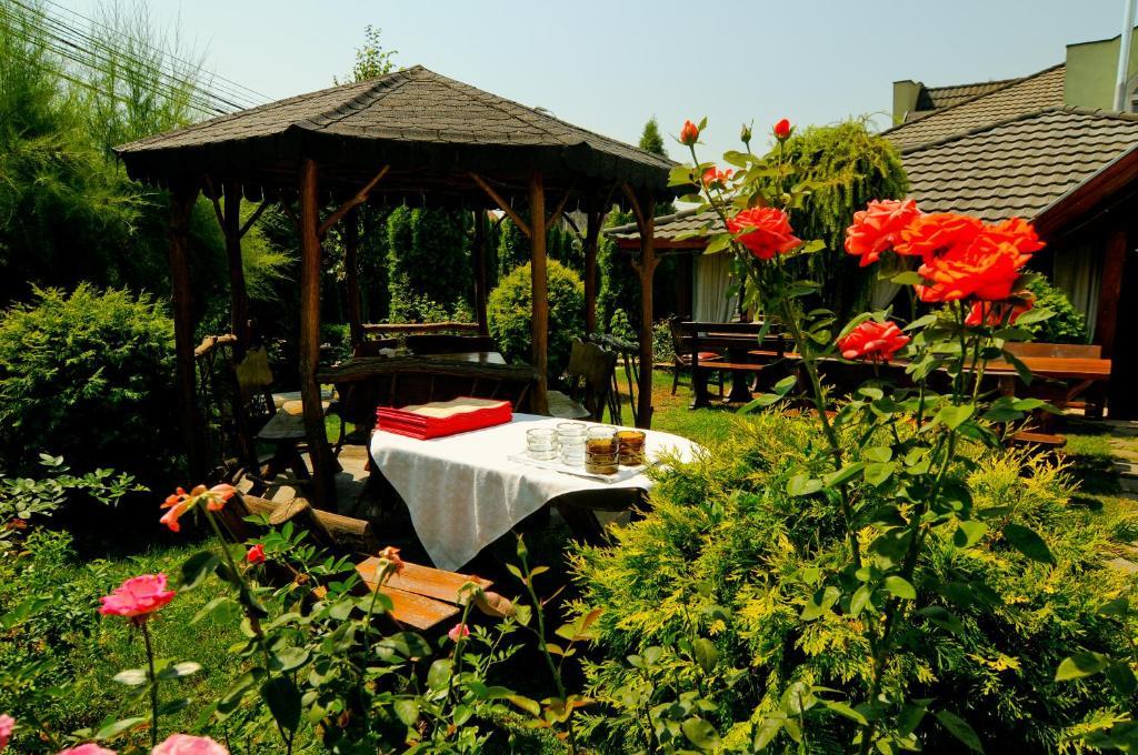 Pension La Cupola Târgu-Mureş Exteriér fotografie