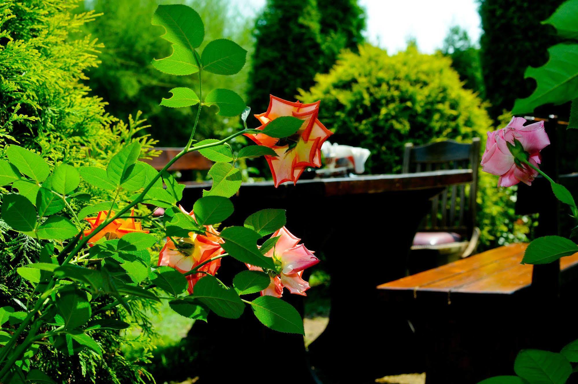 Pension La Cupola Târgu-Mureş Exteriér fotografie